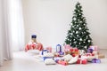 Green Christmas tree with gifts of toys for the new year holiday decor winter Royalty Free Stock Photo