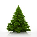 Green christmas tree isolated on white background