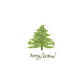 Green christmas tree. Xmas trees hand drawn, nature fir unusual trees template for new year greeting card or eve garland Royalty Free Stock Photo