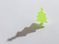 Green christmass tree on white background