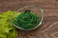 Green Chuka Seaweed Salad Isolated on White Background Top View. Wakame Sea Kelp Salat