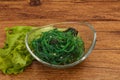 Green Chuka Seaweed Salad Isolated on White Background Top View. Wakame Sea Kelp Salat