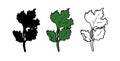 A green CILANTRO leaf. isolated set of hand-drawn fresh green cilantro twigs with black outline and silhouette for packaging,