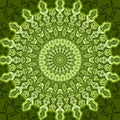 Green circle design abstract pattern background illust.