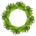 Green circle frame with tropical leaves.