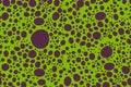 Green circles animal skin Seamless Pattern vector texture eps 10 illustration Leopard repeating background