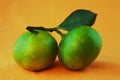 Green citrus Royalty Free Stock Photo