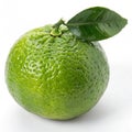 Green citrus fruit with bumpy skin isolated on white background Royalty Free Stock Photo