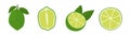 Green citrus fruit on lime tree. Key lime slice, cutted in half citrus. Meethay fruit for healthy diet. Delicious juicy Royalty Free Stock Photo