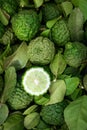 Green citrus fruits - Kaffir Lime