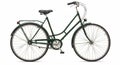 Green city bicycle with a step-through frame, ideal for urban commuting. Features Royalty Free Stock Photo