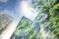 green city - double exposure of lush green forest and modern skyscrapers windows