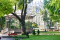 Green city park at center town, summer season, bright sunlight and shadows, beautiful landscape, home and people on street Royalty Free Stock Photo