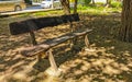 Green city park playground bench slide swing Playa del Carmen