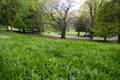 Green city park. Spring time nature park Royalty Free Stock Photo