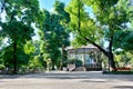 Green city park, summer season, bright sunlight and shadows, beautiful landscape, home and people on street Royalty Free Stock Photo