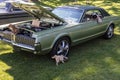 Green Classic With Pets