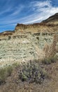 Green claystone formations and purple flowers at the Sheep Rock Unit of the John Day Fossil Beds National Monument, Oregon, USA Royalty Free Stock Photo