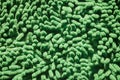 Green cleaning feet doormat Royalty Free Stock Photo