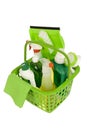 Green Cleaning Supplies Shot at Angle Royalty Free Stock Photo