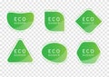 Green clear crystal banner on transparency background, eco tag vectors, elegant glossy element design