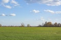A green, clear field under a clear blue sky and white clouds. Autumn landscape on a bright sunny day Royalty Free Stock Photo