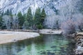 Green Clear Water of Merced River with Forest in Yosemite Valley Royalty Free Stock Photo