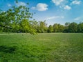 Green clearing in park with walking people, trees around and branch in front of