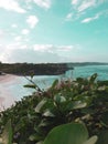 Green at the cliff with ocean view during daylight