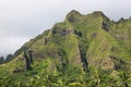 Green cliffs of Kualoa Ranch Royalty Free Stock Photo