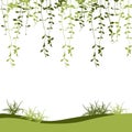 Green climber leaf and grass vector for spring background