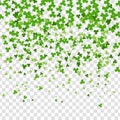 Green clover background transparent vector