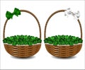 Green clover in a beautiful wicker basket. Royalty Free Stock Photo