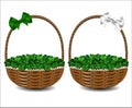 Green clover in a beautiful wicker basket.