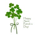 Green clover bouquet on white background. St Patrick day greeting card. Irish. Vector flat illustration.