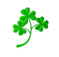 Green clover branch. St.Patrick`s day. 3D illustration Royalty Free Stock Photo