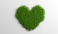 Green clover heart on white background. St Patric`s Day Royalty Free Stock Photo