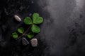 Green clover leaf isolated on dark background Royalty Free Stock Photo