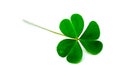 Green clover leaf isolated on white background. with three-leaved shamrocks. St. Patrick`s day holiday symbol. Royalty Free Stock Photo