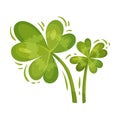 Green Clover Leaf or Trefoil as Feast of Saint Patrick Symbol Vector Illustration