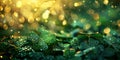 Green clover leaves with dew and golden light spots. Shamrock traditional symbol for St. Patrick\'s Day Royalty Free Stock Photo