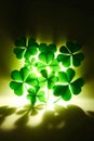 Green clover leaves illuminated by magical light. St. Patrick's day background Royalty Free Stock Photo