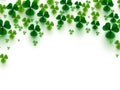 Green clover leaves on white background. Fall of shamrock symbol of Patrick`s Day