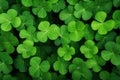 Green clover luck macro shamrock plant grass close up nature patrick leaf