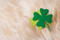 Green clover symbol on sheep's clothing