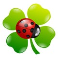 A green cloverleaf Royalty Free Stock Photo