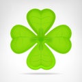 Green cloverleaf isolated on white Royalty Free Stock Photo