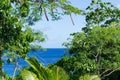 Green of coastal bush and trees with deep blue ocean and sky bey