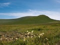 Green coastal landscape at the Kerry Cliffs Royalty Free Stock Photo