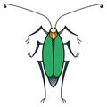 Green cockroach icon. Decoartive insect. Wild bug